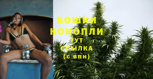 гидропоника Белоозёрский