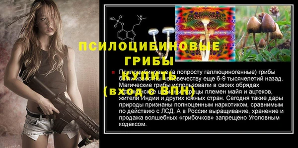 винт Белокуриха
