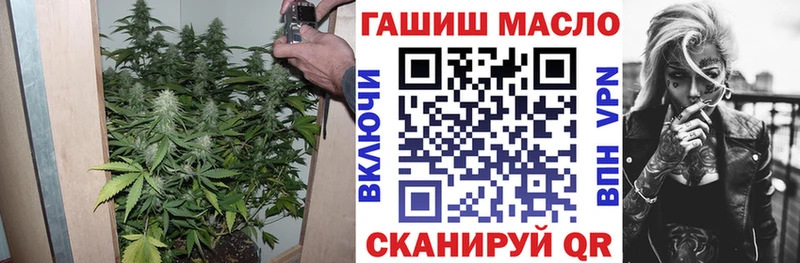 купить  цена  Бородино  kraken как войти  Дистиллят ТГК THC oil 