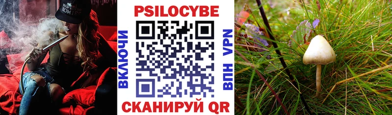 Псилоцибиновые грибы мухоморы  Бородино 